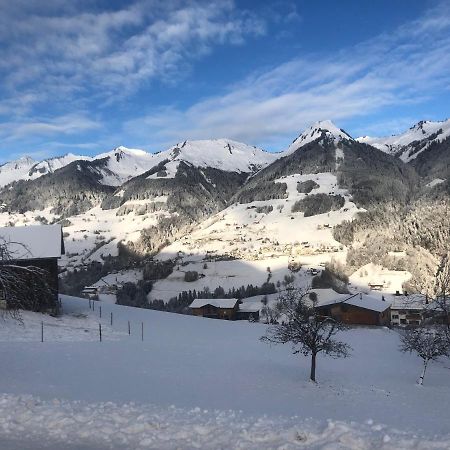 Appartement Bergblick Raggal Luaran gambar